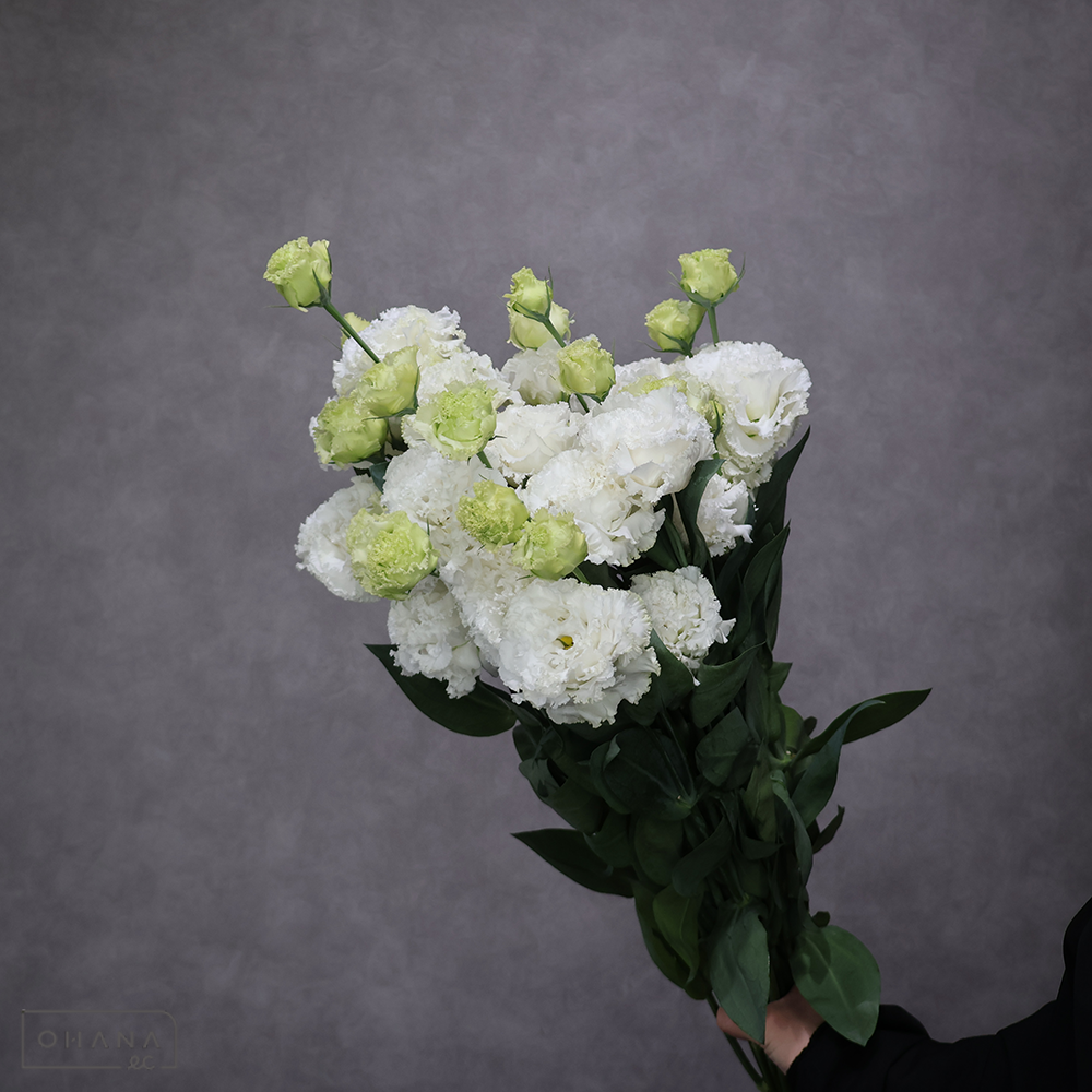 トルコキキョウ白　セレブリッチホワイト 優 60cm