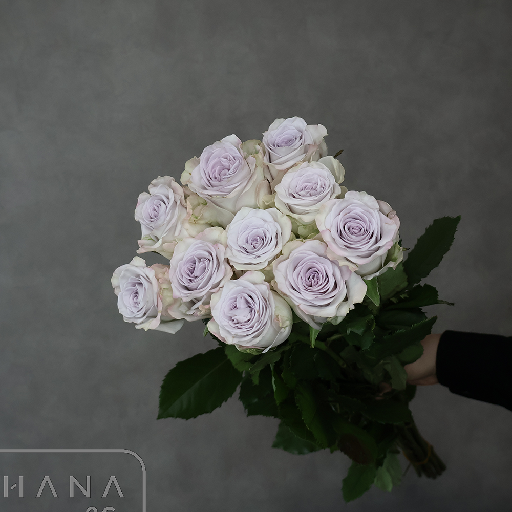 バラ紫　オーシャンハート ※花シミあり　60cm 中国
