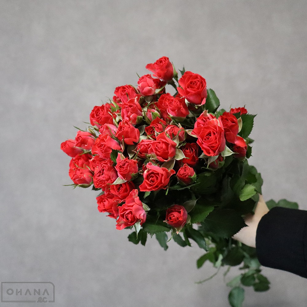 スプレーバラ　サマーパーティー　秀  50cm