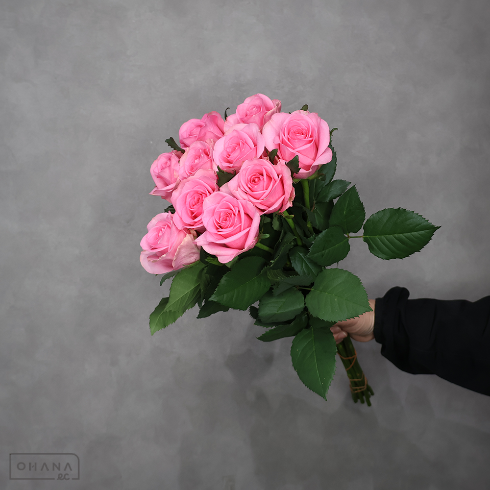 バラ  ピンク　B