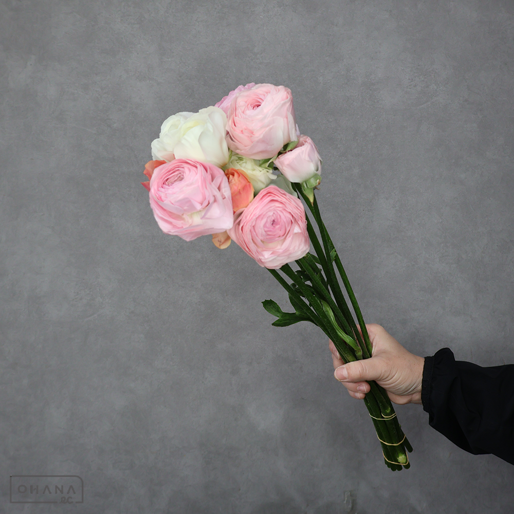 ラナンキュラス　①　秀 50cm