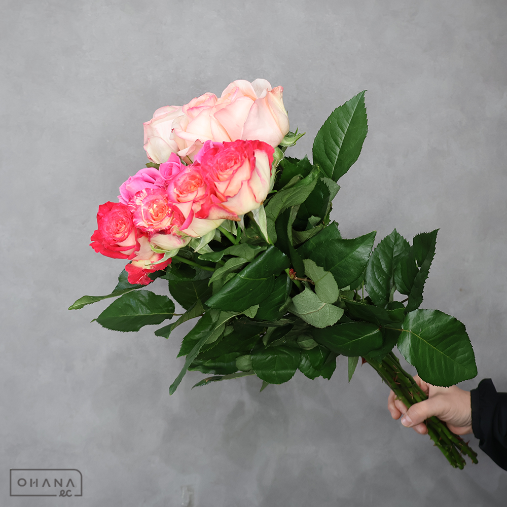 バラ MIX ⑤　70-60