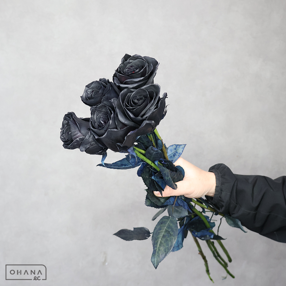 バラ　染めブラック　 70cm