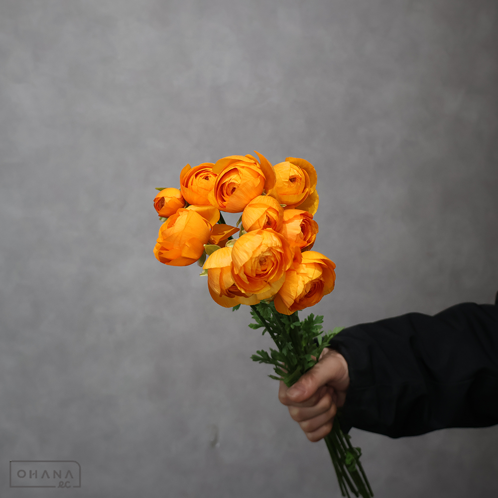 ラナンキュラスオレンジ　ディーニュ ※ステム細　優 40cm