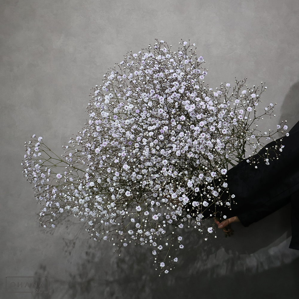 カスミソウ染め　パステル パープル　 75cm