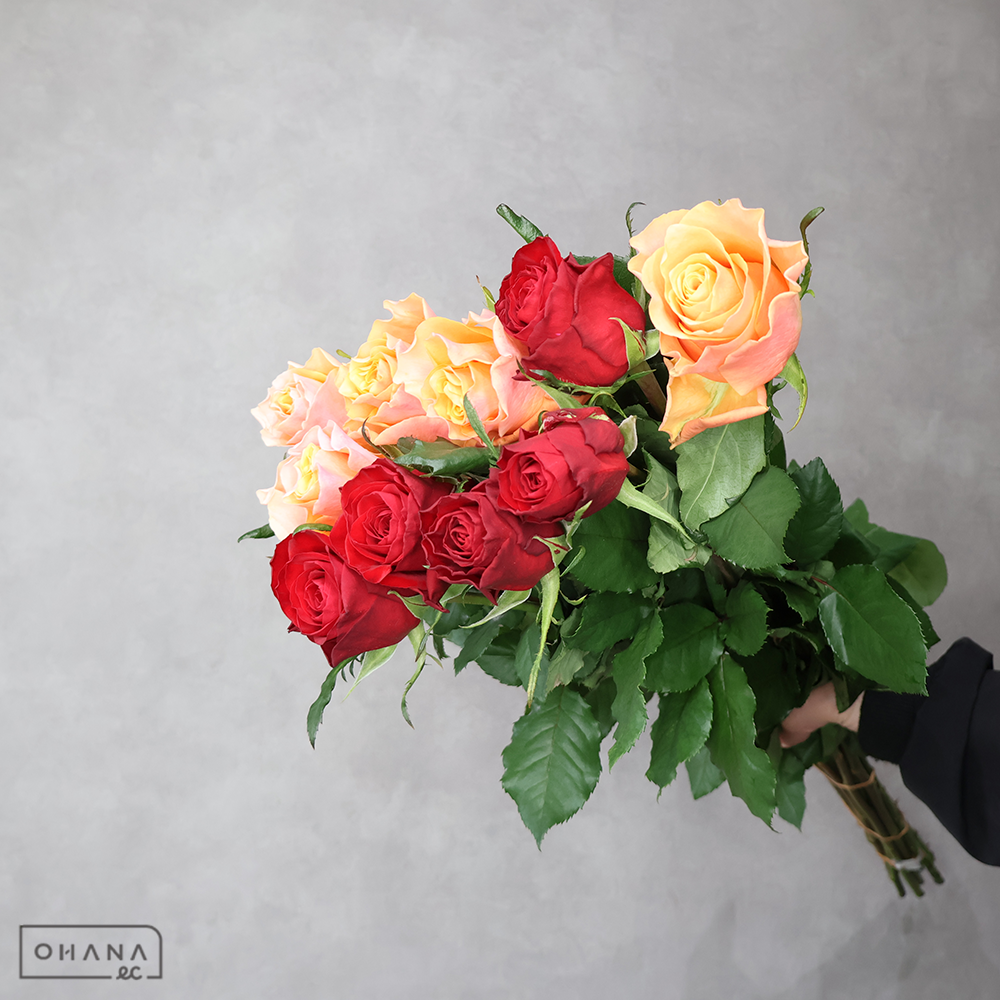 バラ MIX ② 70-60 | お花の仕入れならOHANAec