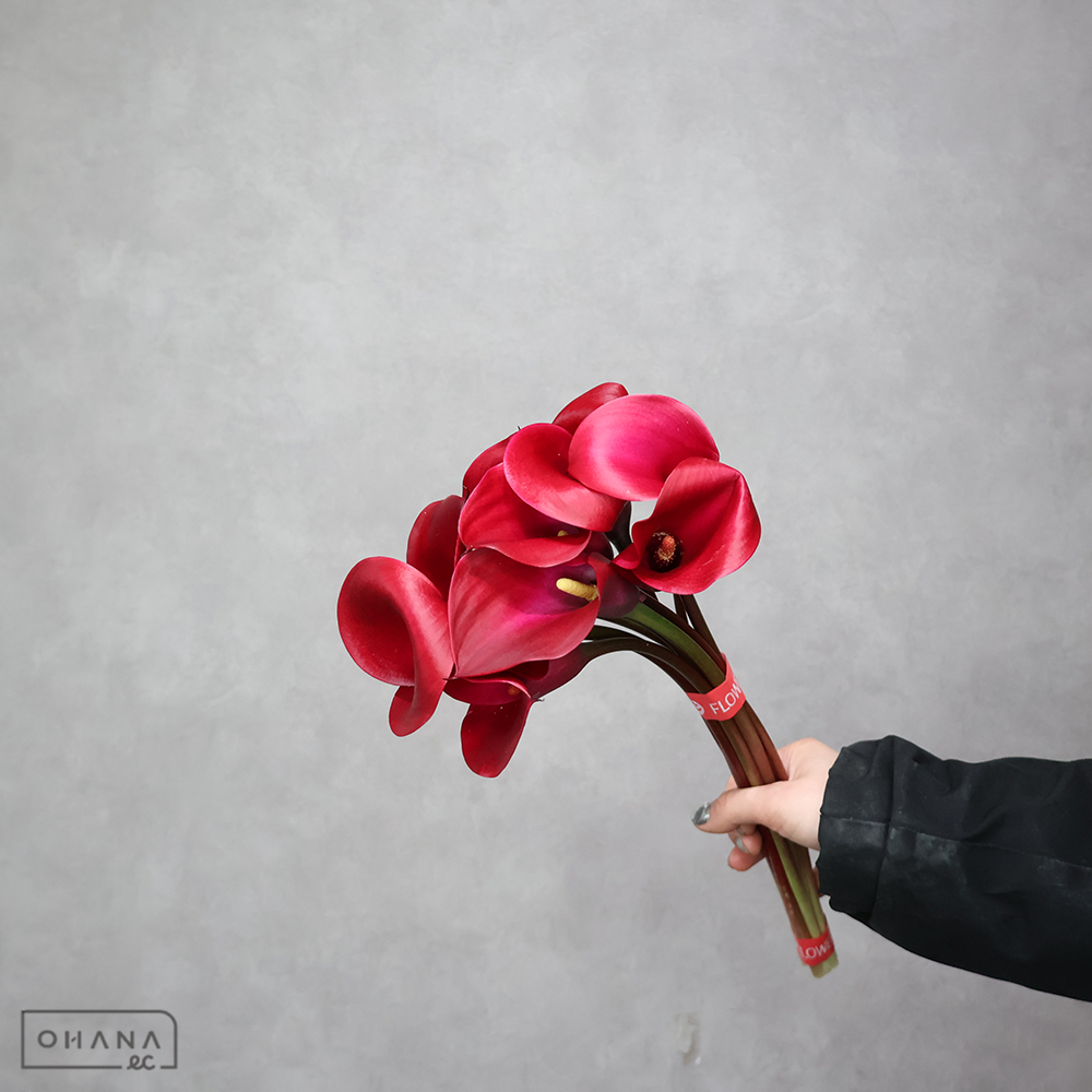 カラー　Ｚ３２５　秀 40cm