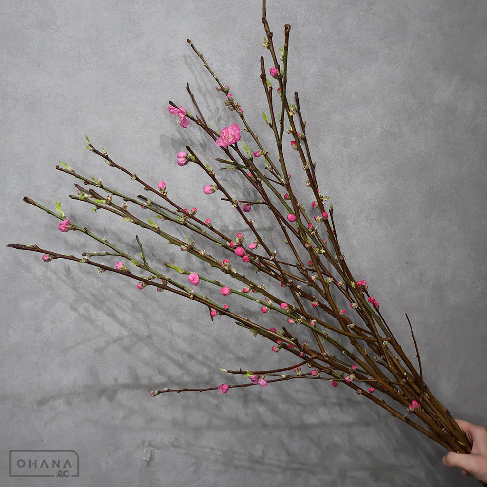 【SALE】　桃　　　Ｓ 90cm　※クレーム対象外