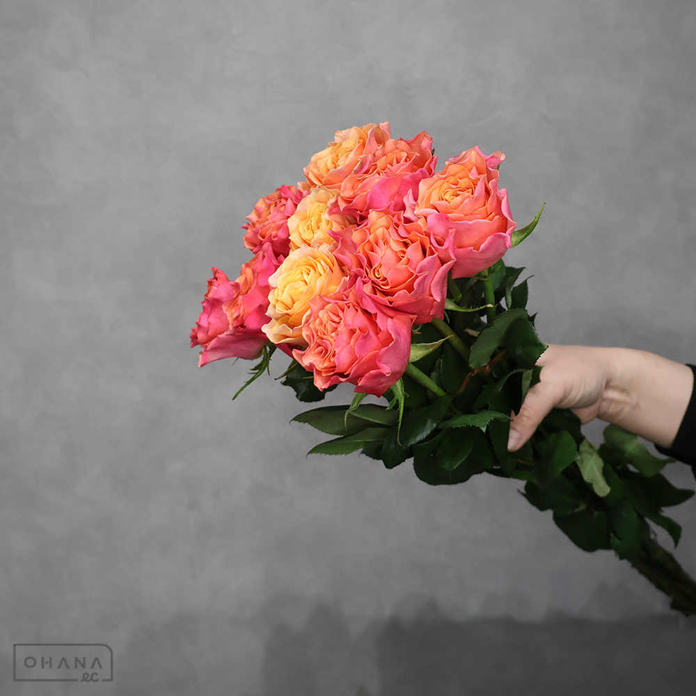 バラ MIX ④　70-60