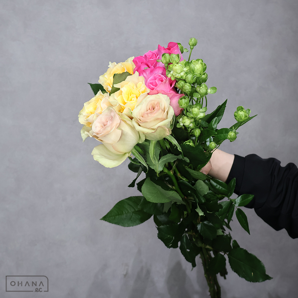 バラ MIX ②　70-60