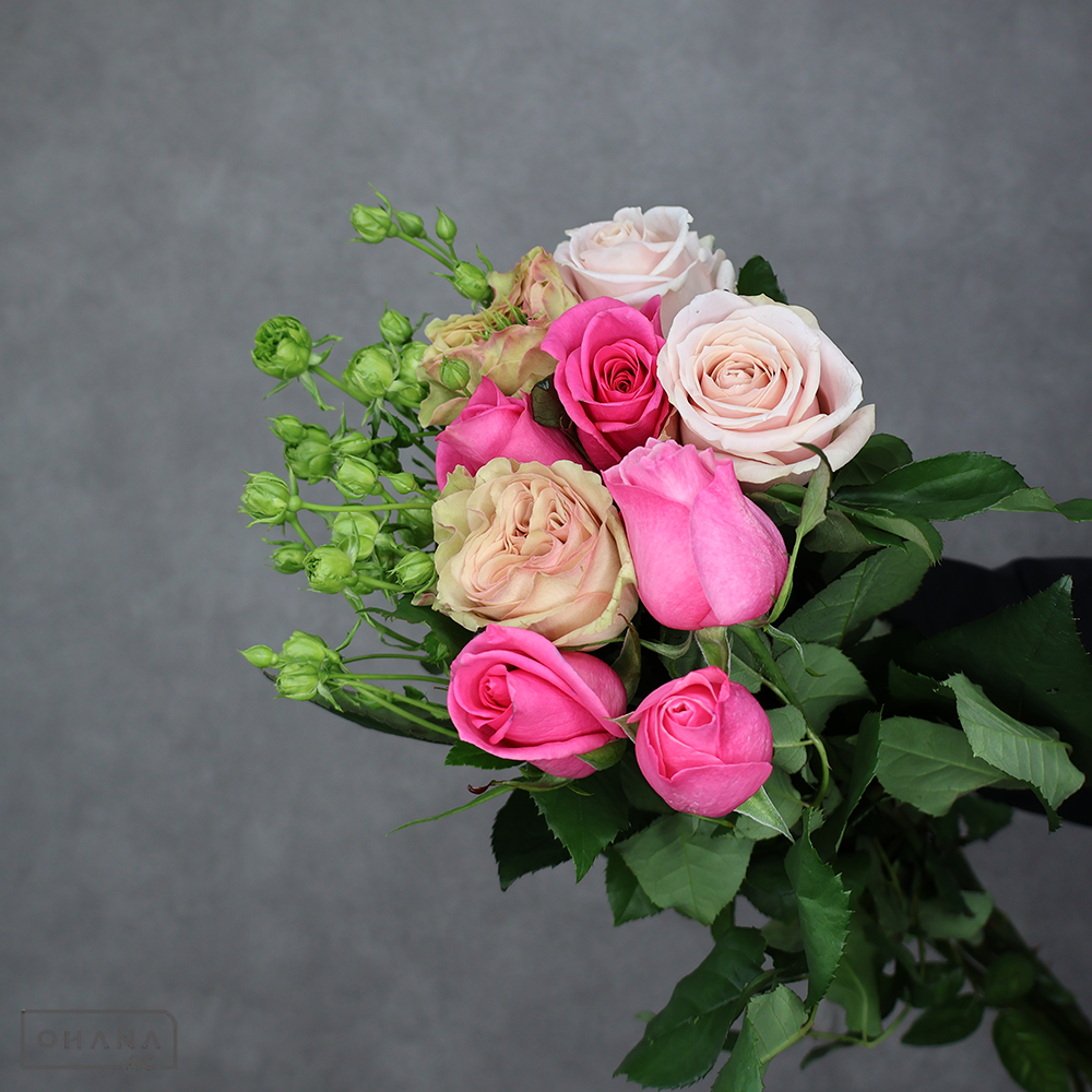 バラ MIX ④ 70-60cm