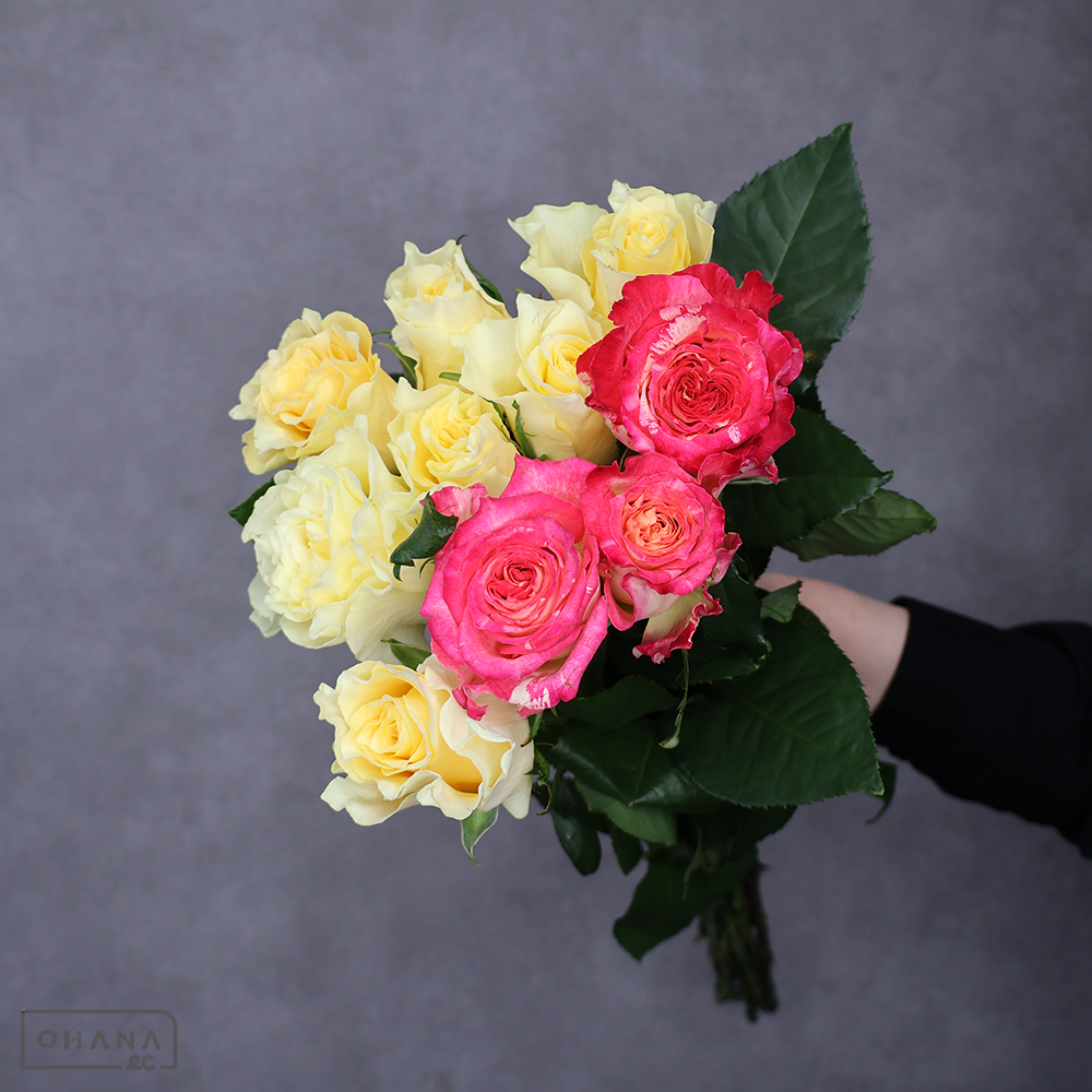 バラ MIX　③　 70-60