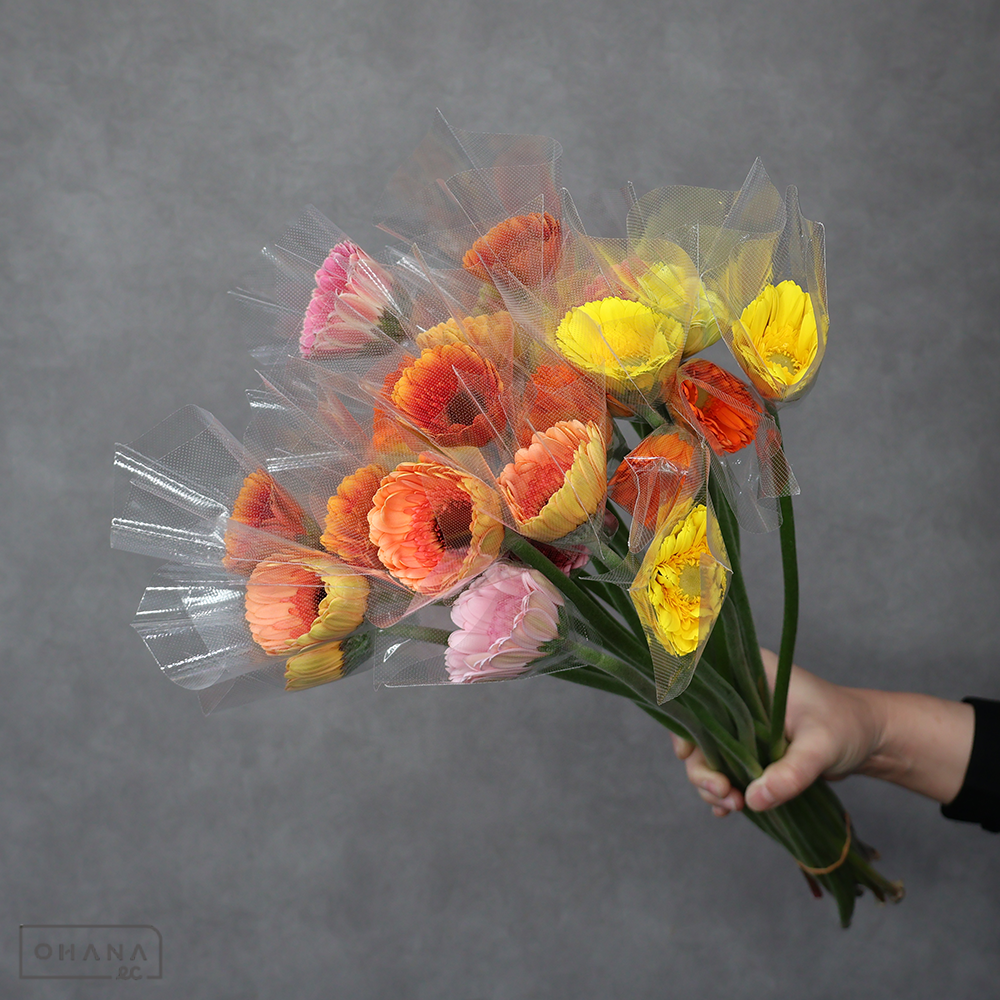 ガーベラ小輪 MIX　M 曲り ※多少色変わりあり