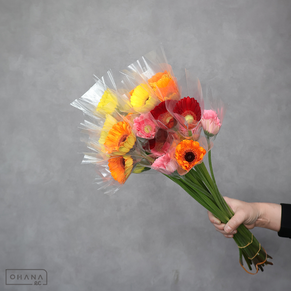 ガーベラ　ミックス 秀 ２Ｌ