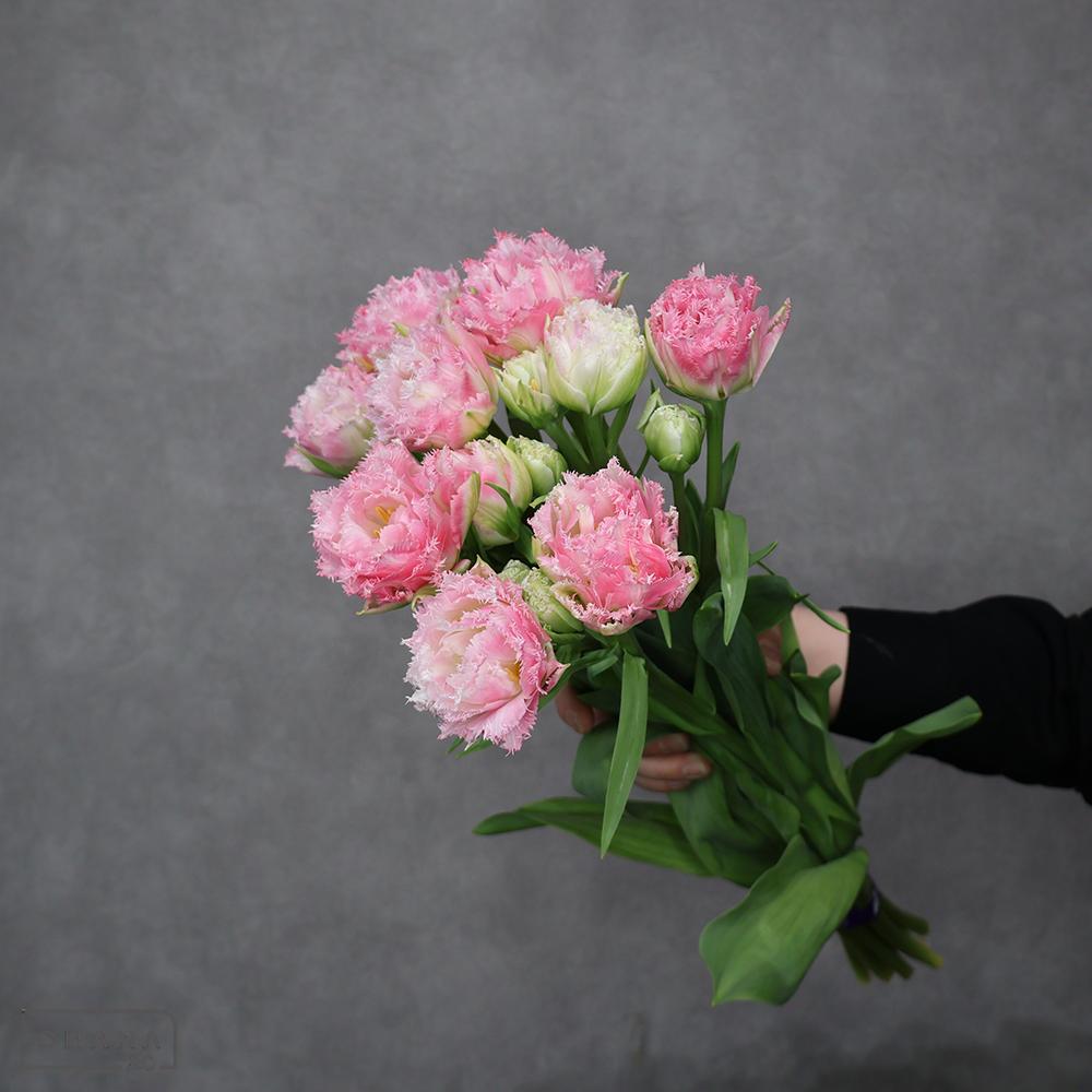 チューリップピンク　クリスピオンスィート　秀2L