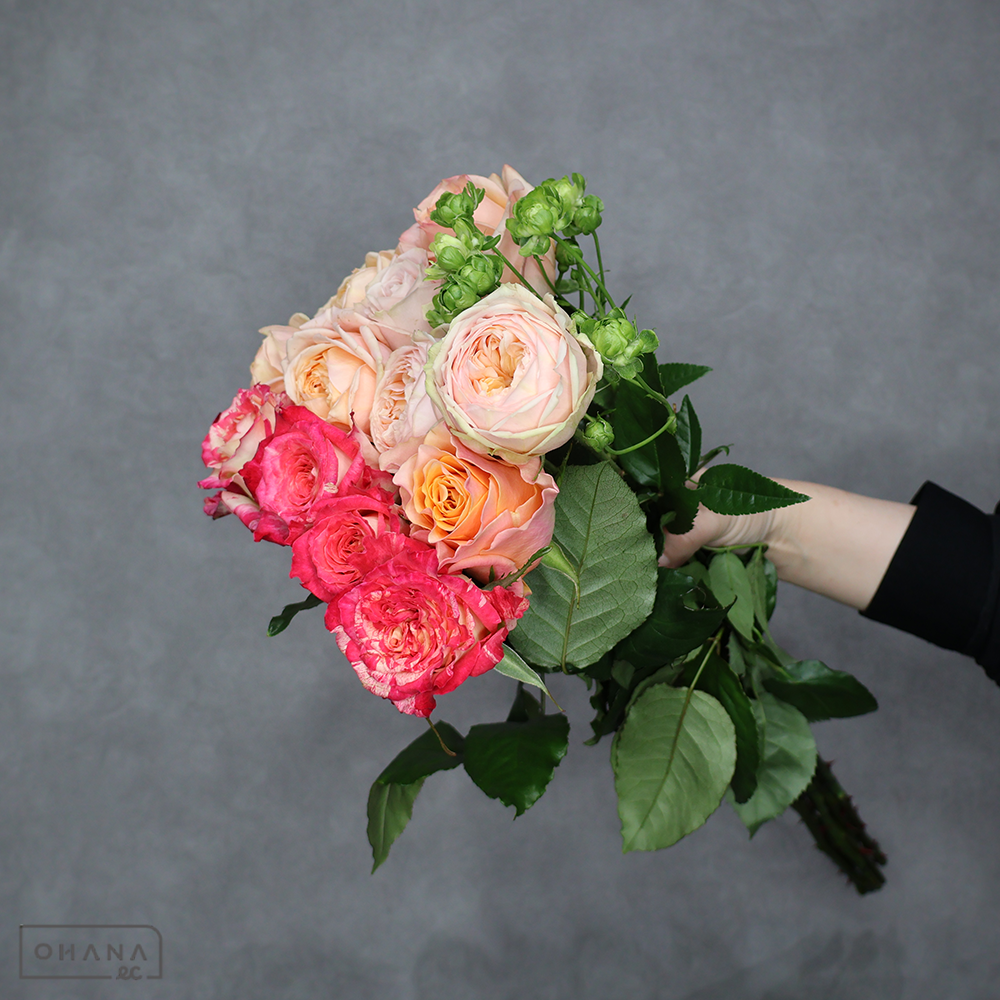 バラ MIX  ⑤　70-60