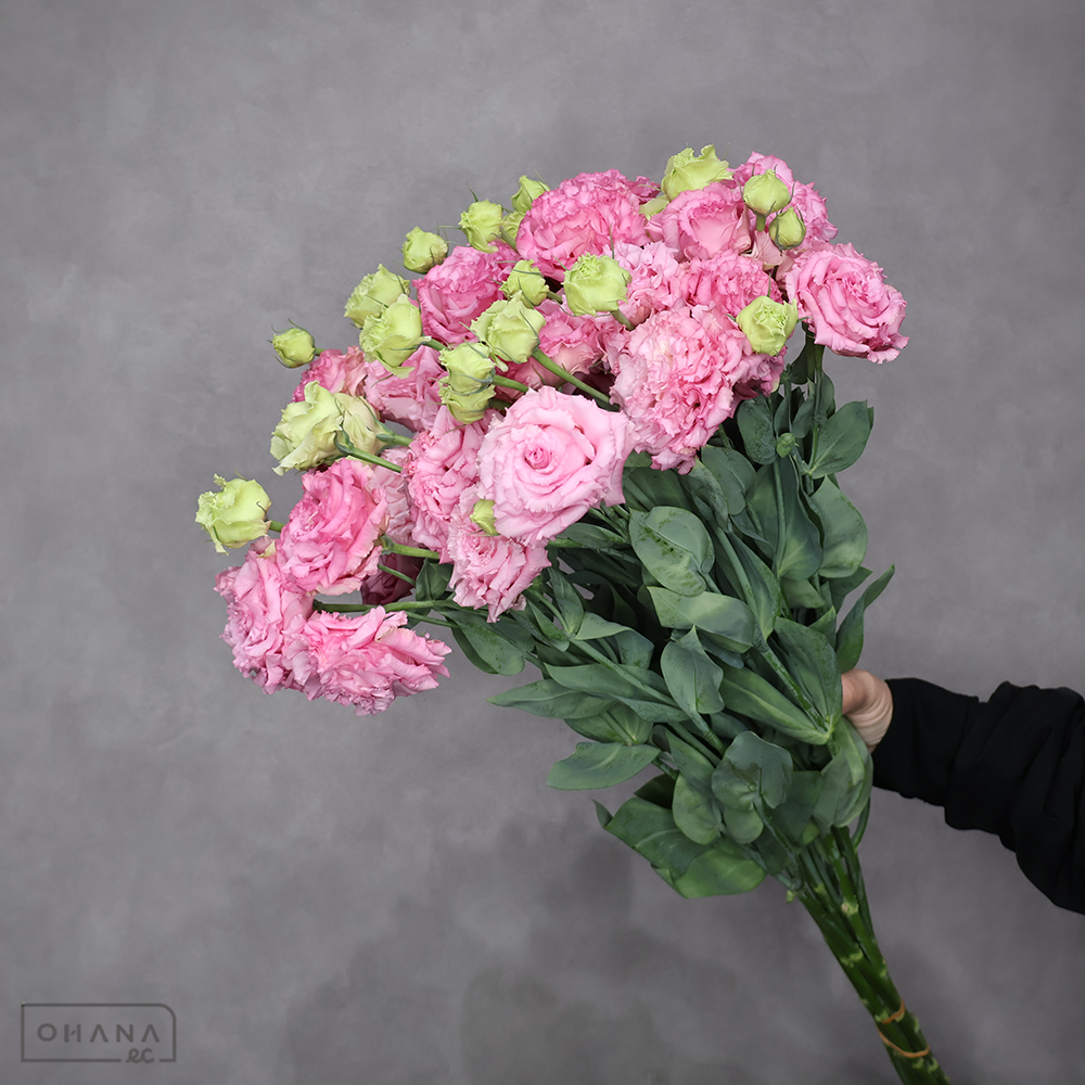 トルコキキョウ　ボンボヤージュスイートピンク　 ３輪