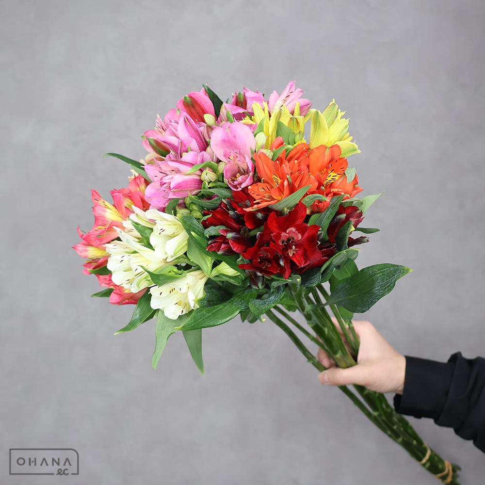 アルストロメリア　　 曲り80cm MIX