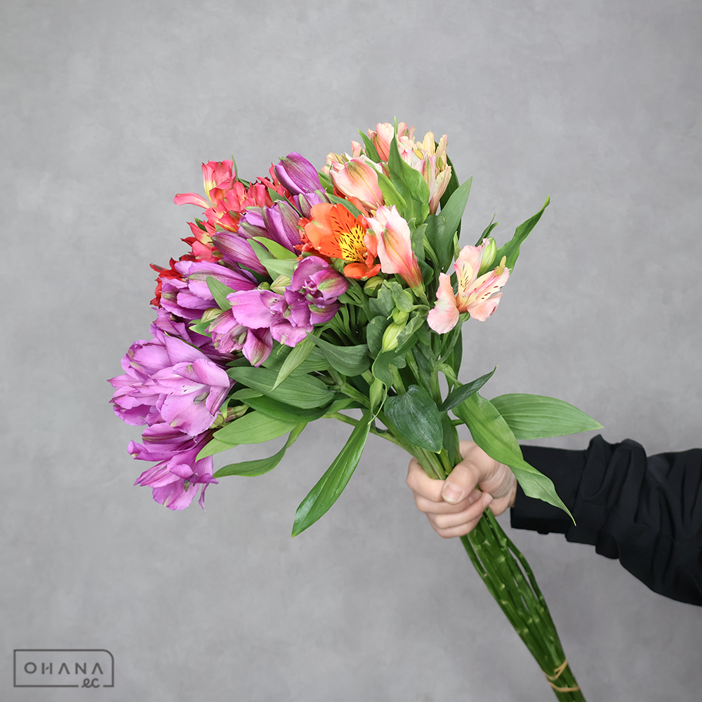 アルストロメリア　　 曲り70cm MIX