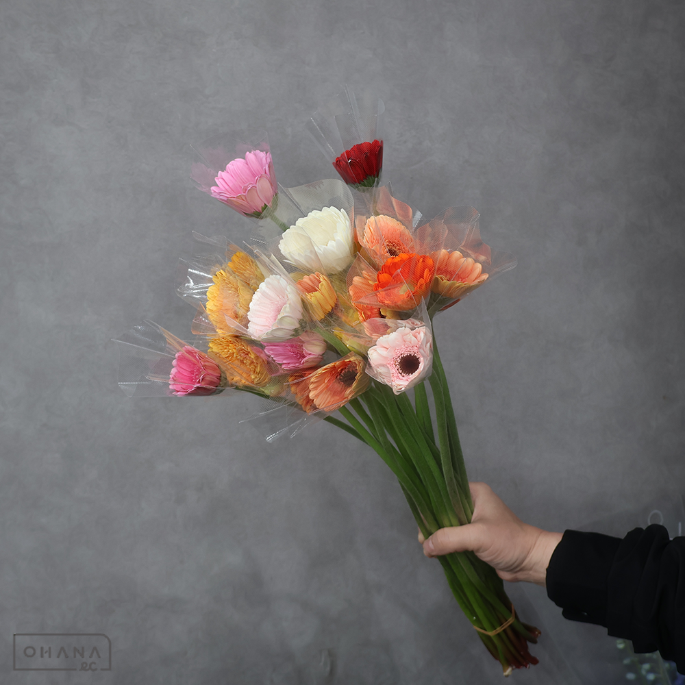 ガーベラ小輪 　MIX　M 曲り  ※25本束 色指定不可