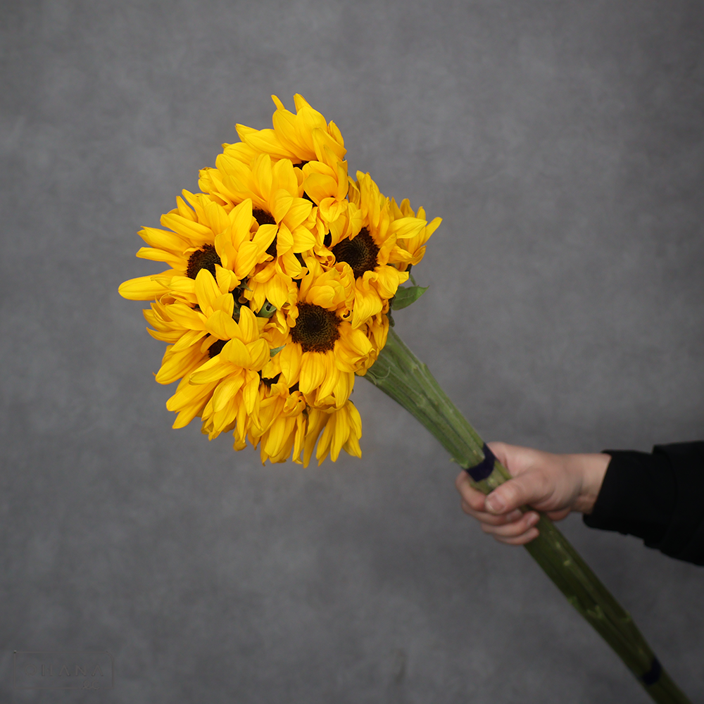 ヒマワリ　  ビンセントタンジェリン  秀70cm