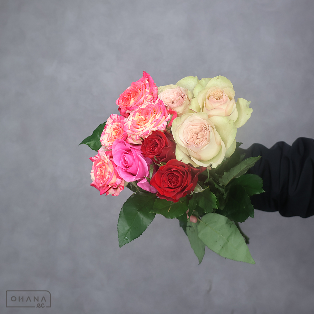 バラ MIX ①　 70-60