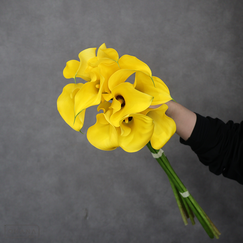 カラー黄　レオ　M 60-50