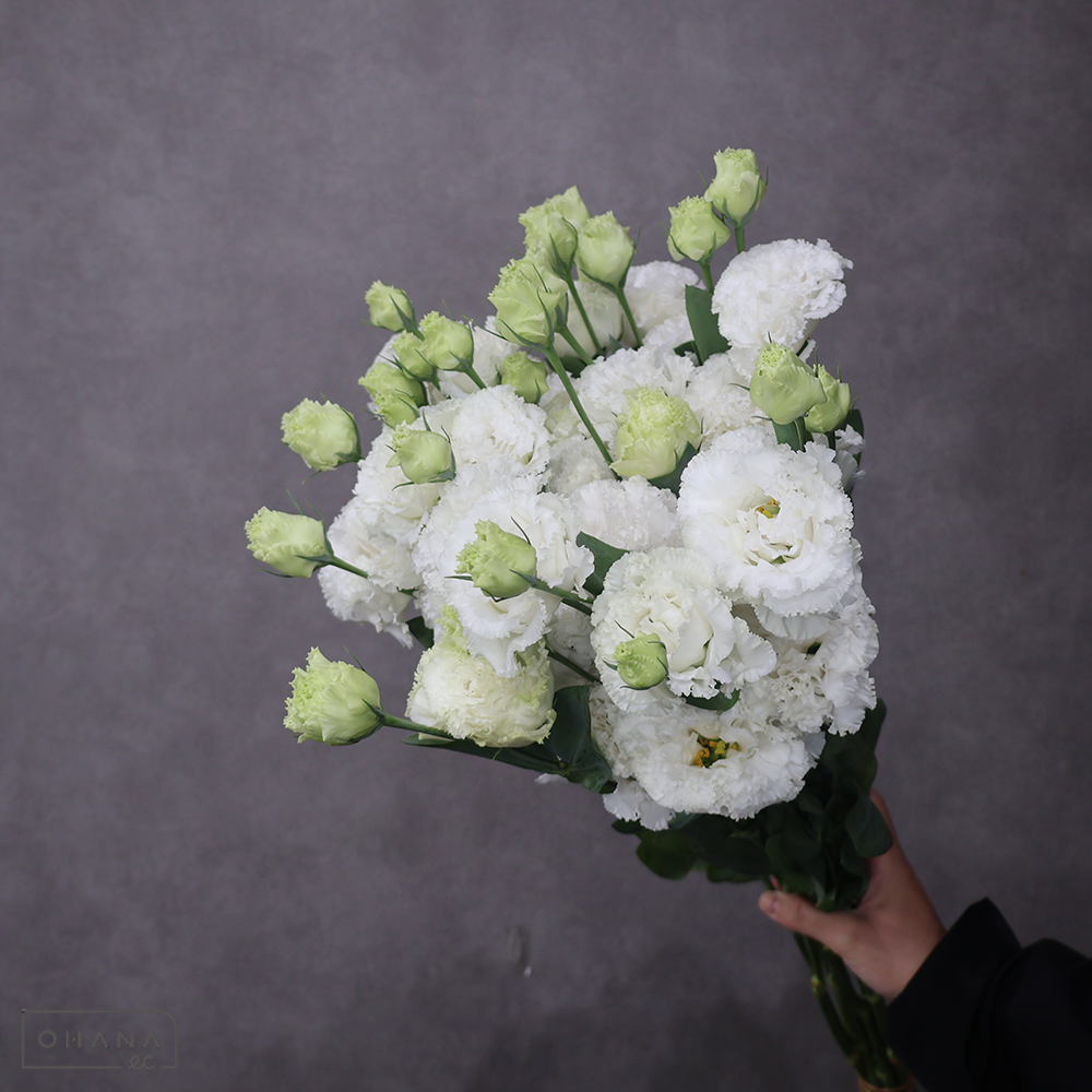 トルコキキョウ　ジュリアスホワイト　秀 ４輪 70cm