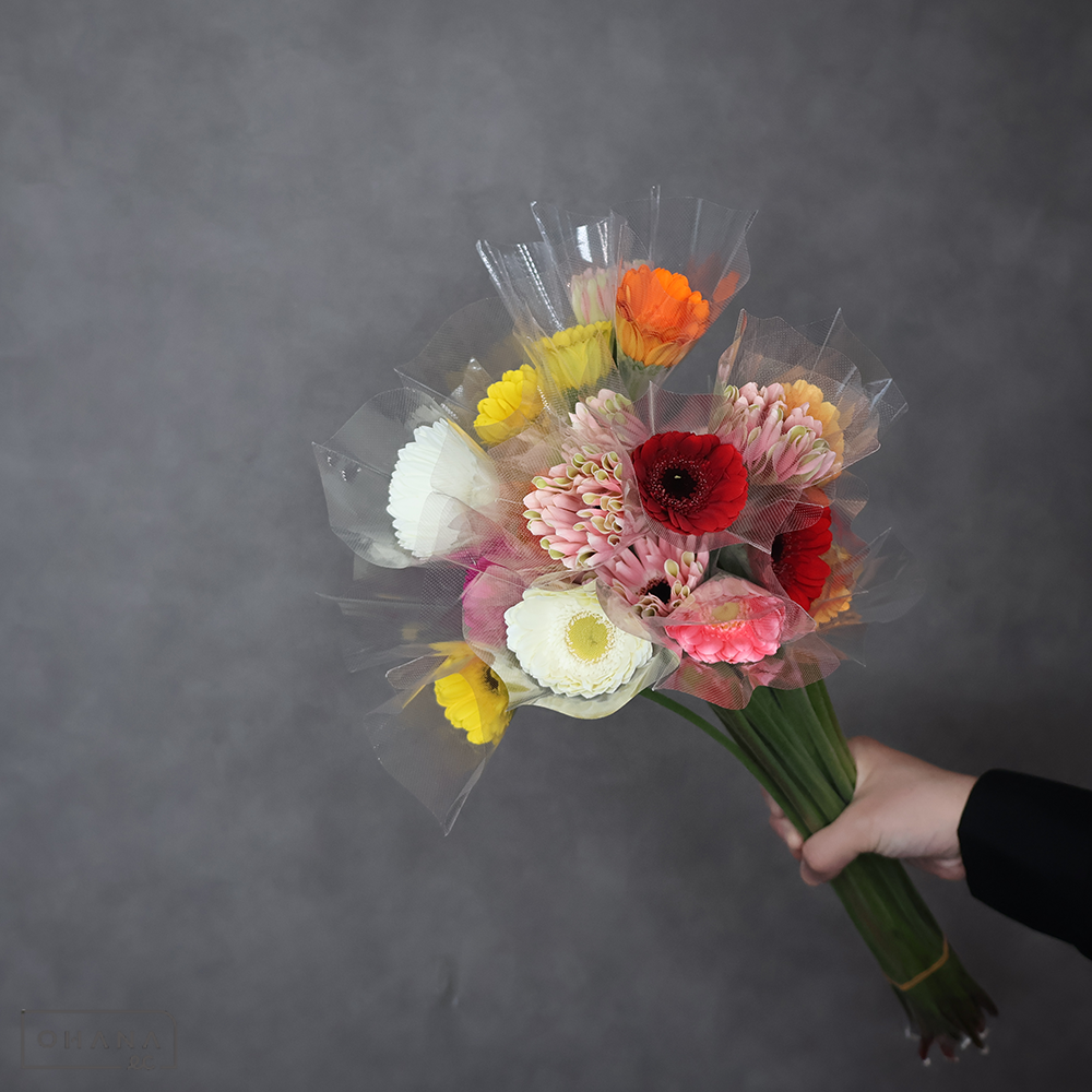 ガーベラ MIX　M  ※25本束　色指定不可