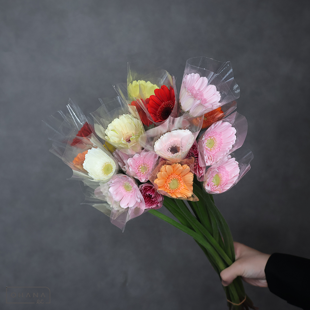 ガーベラ MIX　M 曲り  ※25本束 色指定不可