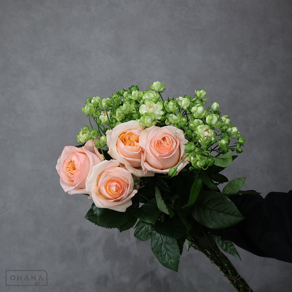 バラ MIX ⑤　 70-60