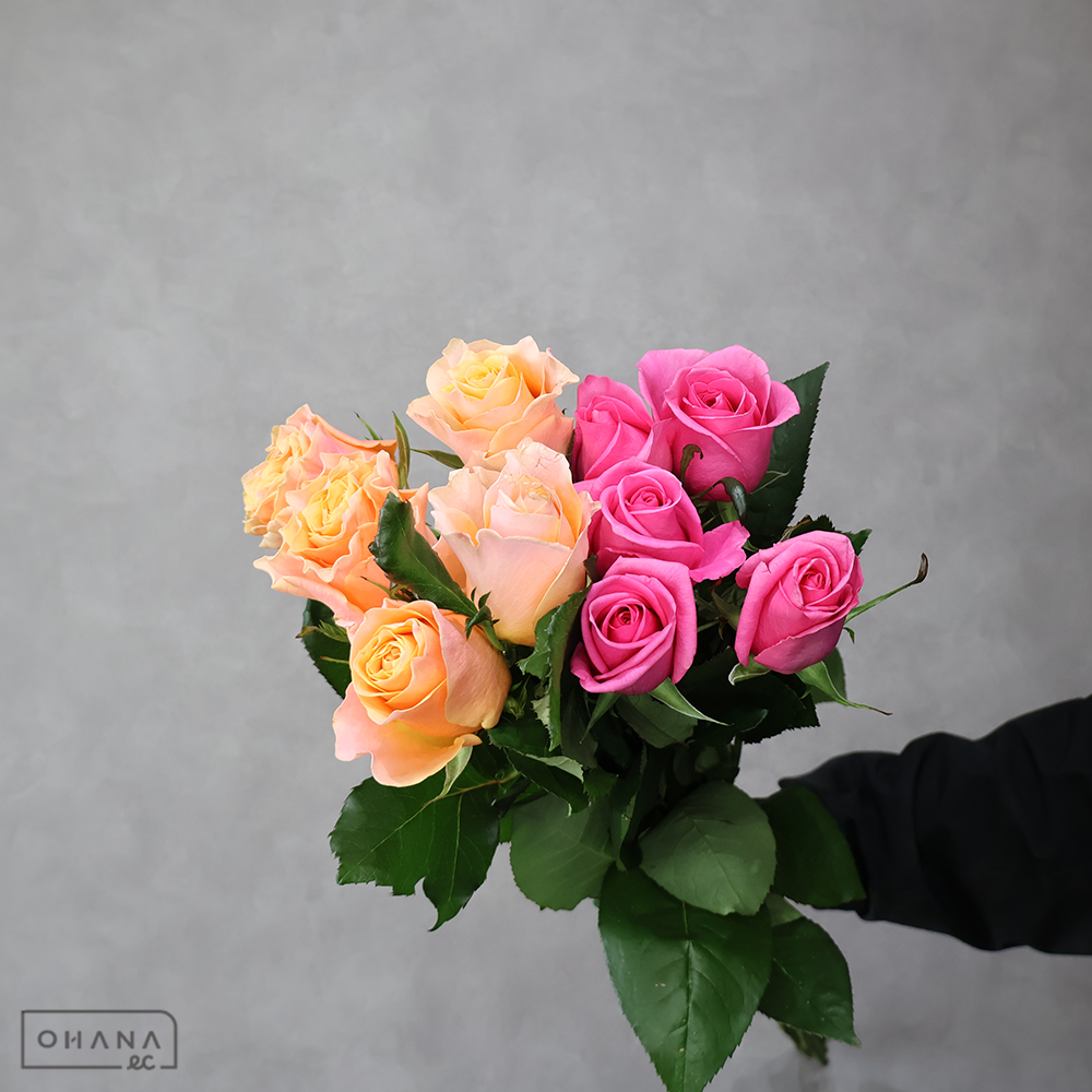 バラ MIX ④　 70-60