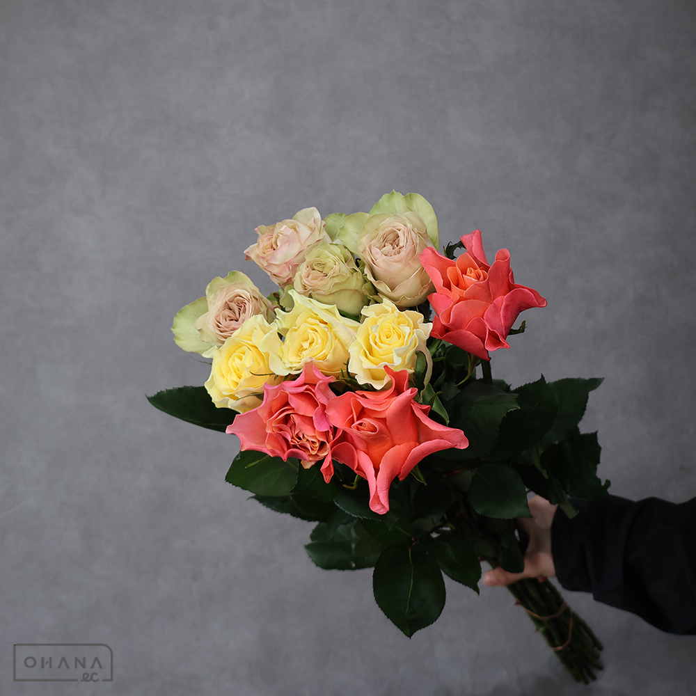 バラ MIX ③　 70-60