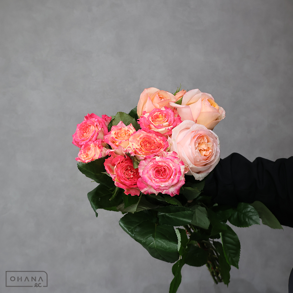 バラ MIX ②　 70-60