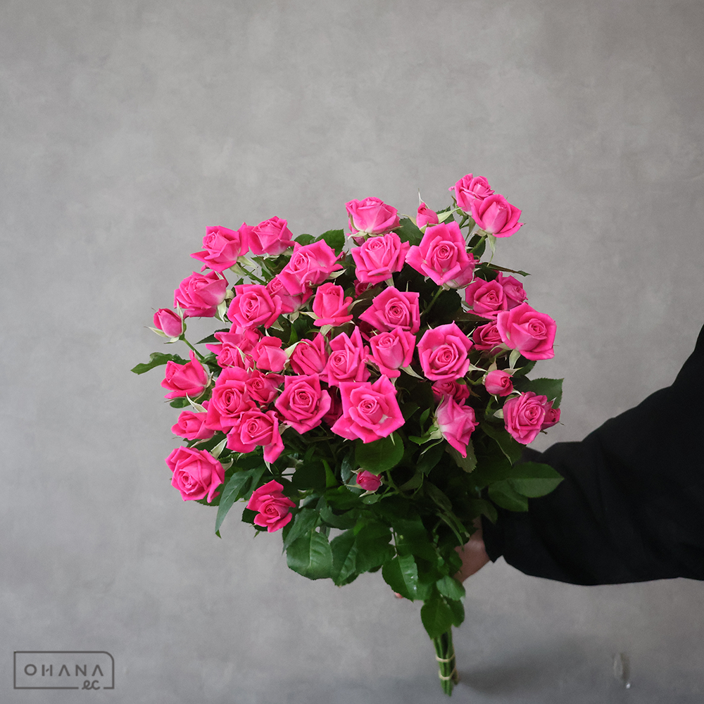 ＳＰバラピンク　アリシア　秀 70cm