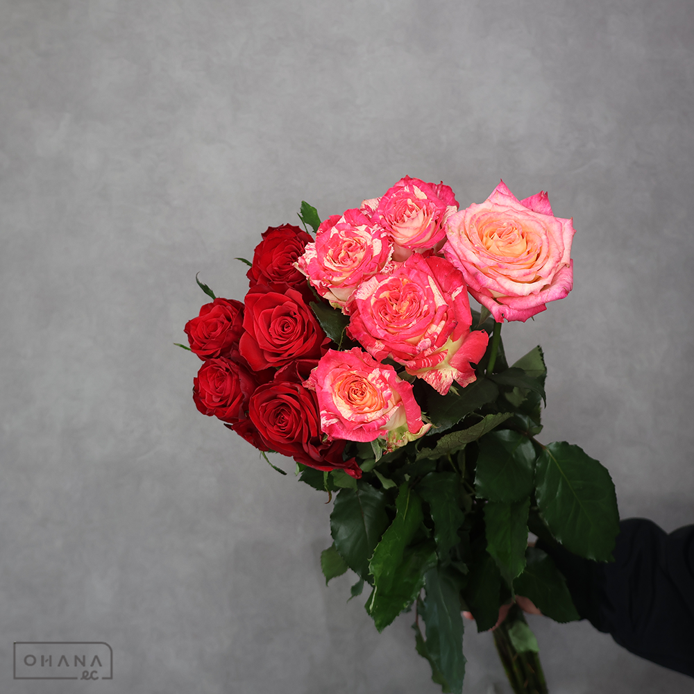 バラ MIX ⑤　 70-60