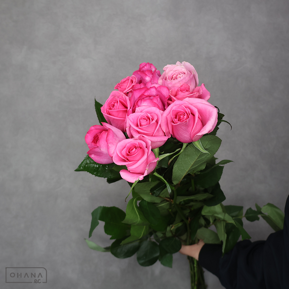 バラ MIX ④　 70-60