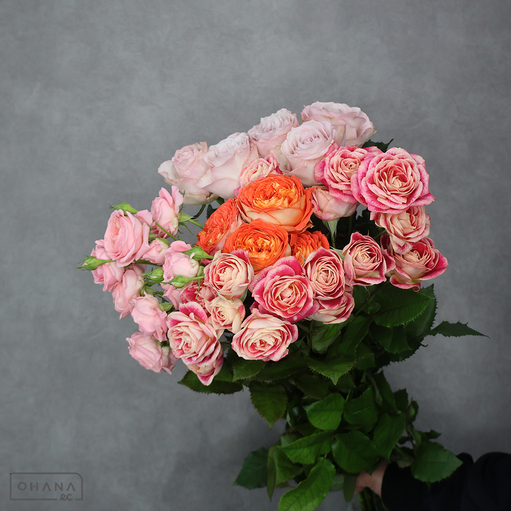 バラ MIX ③　 70-60