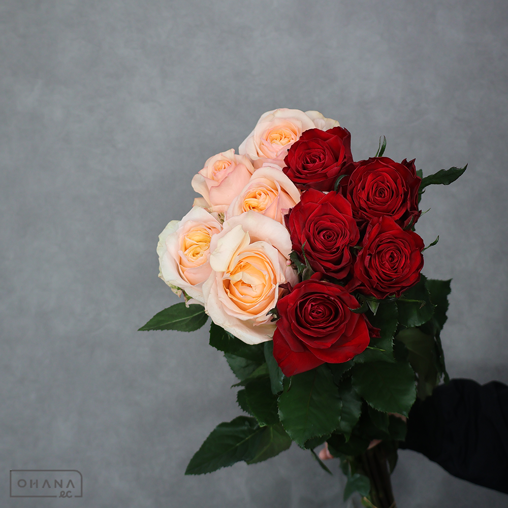 バラ MIX ②　 70-60