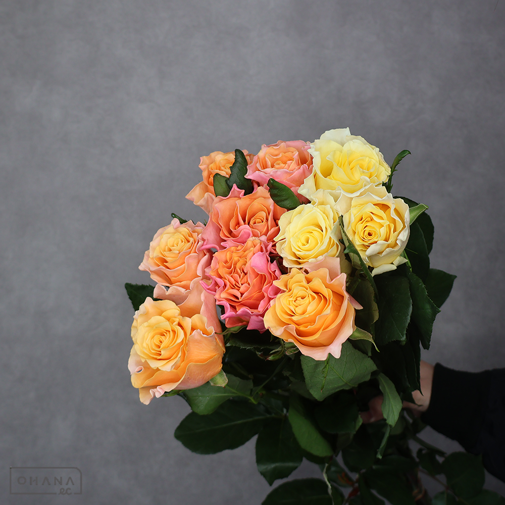 バラ MIX ①　 70-60