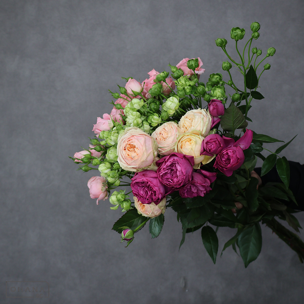 バラ　MIX ⑤　 70-60