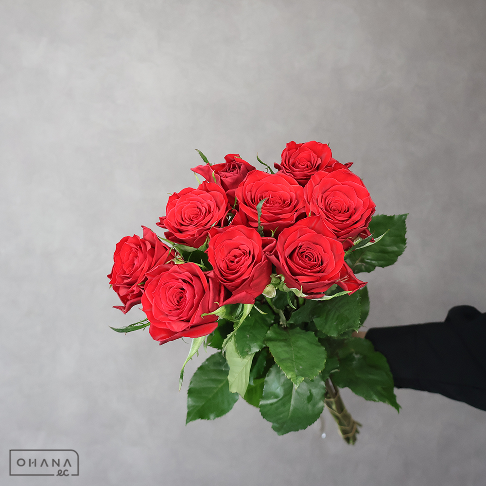 バラ  ブリランテ　A 60cm