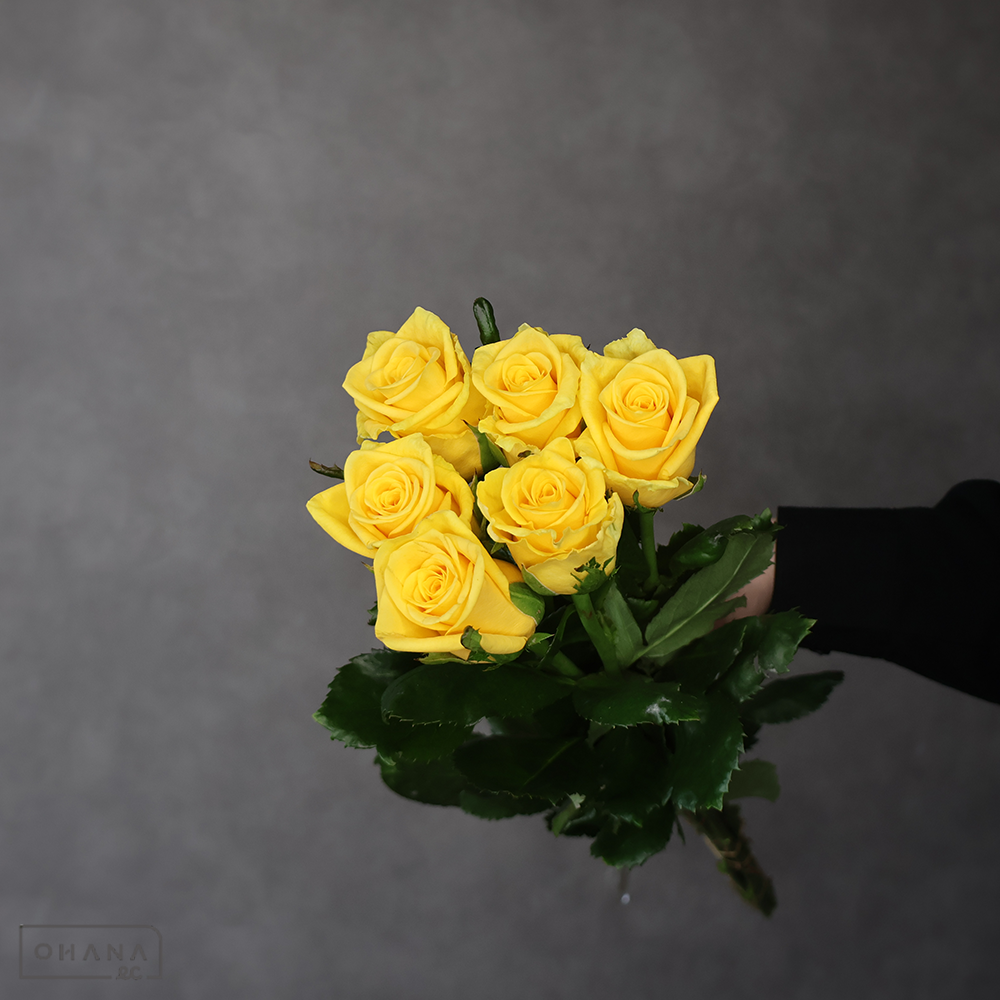 バラ  ゴールドラッシュ　A 60cm