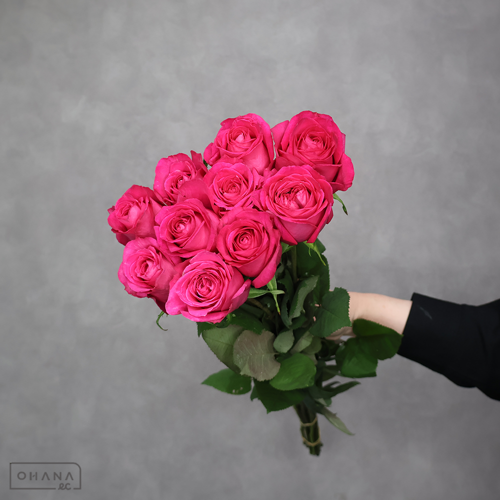 バラピンク　パティスリー　秀 60cm