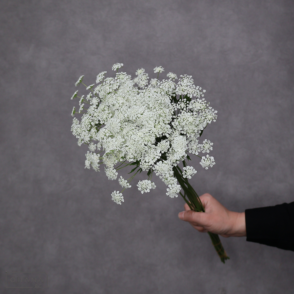 ホワイトレースフラワー 50cm
