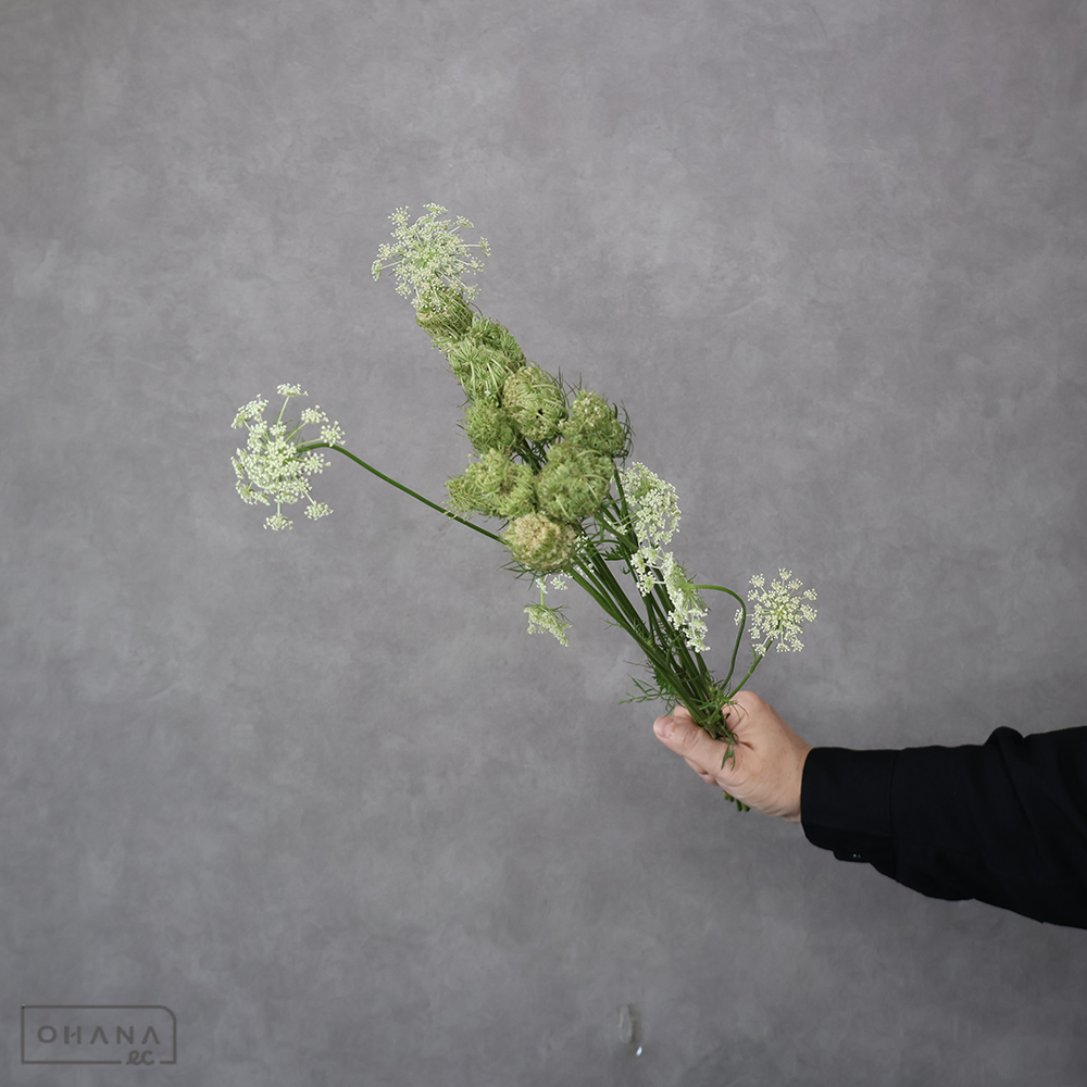 バードネスト ※40cm