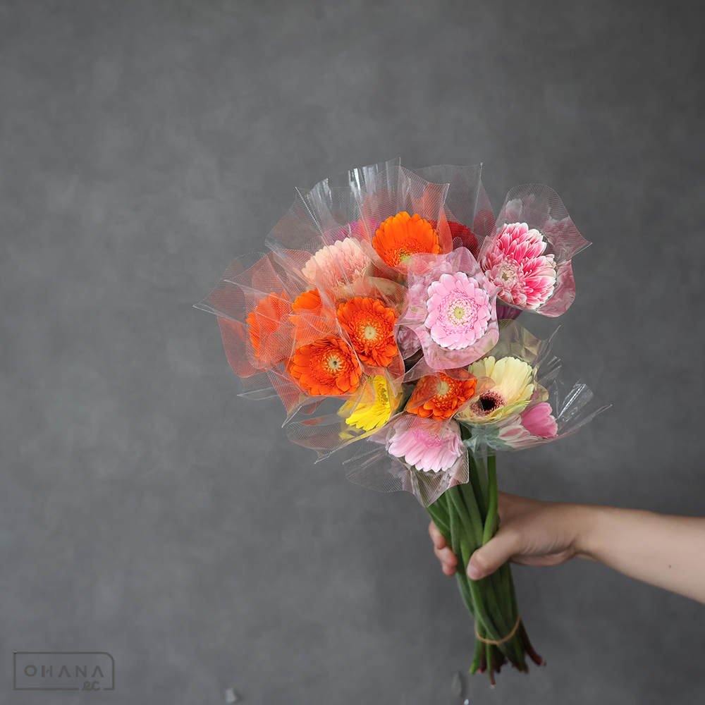 ガーベラ MIX ②　M 曲り ※25本束