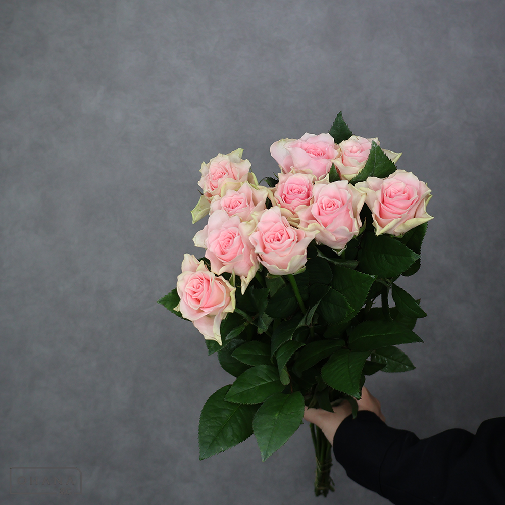 バラピンク　エンジェルキス　秀 60cm