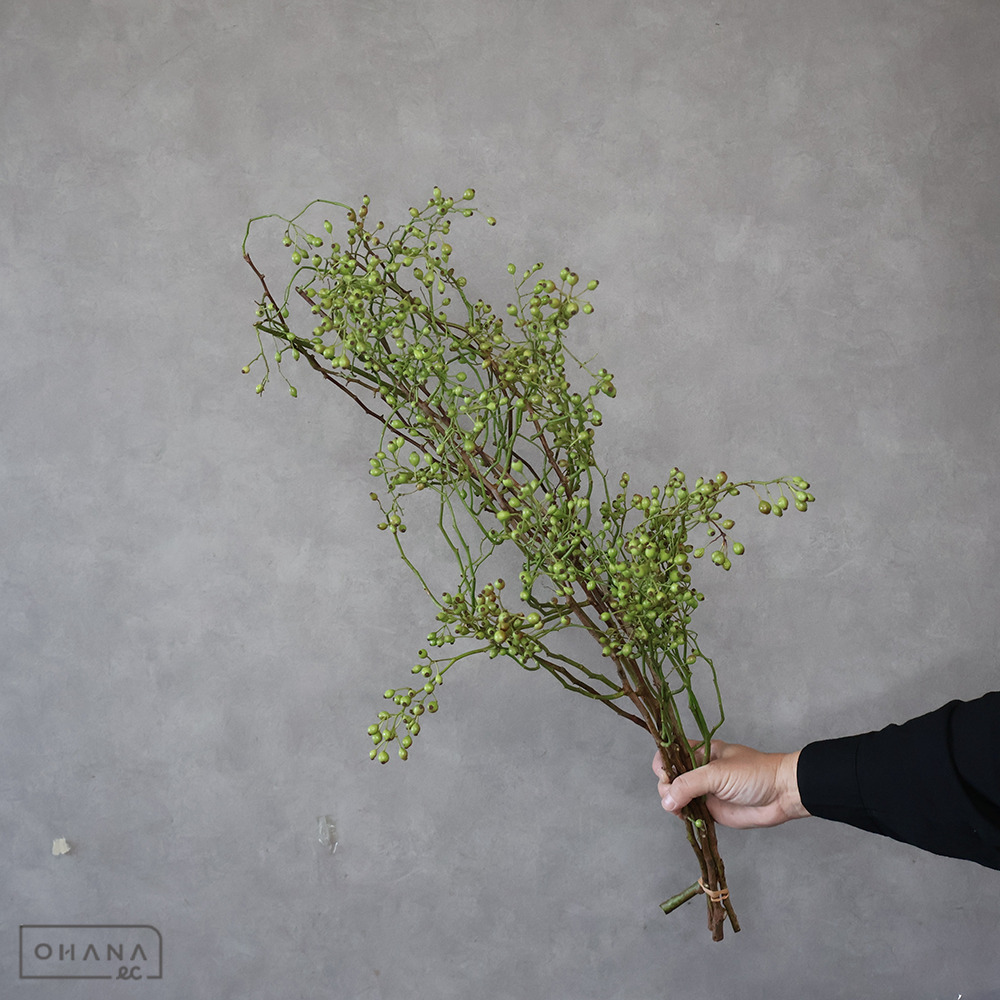 野バラ　80cm  横箱配送