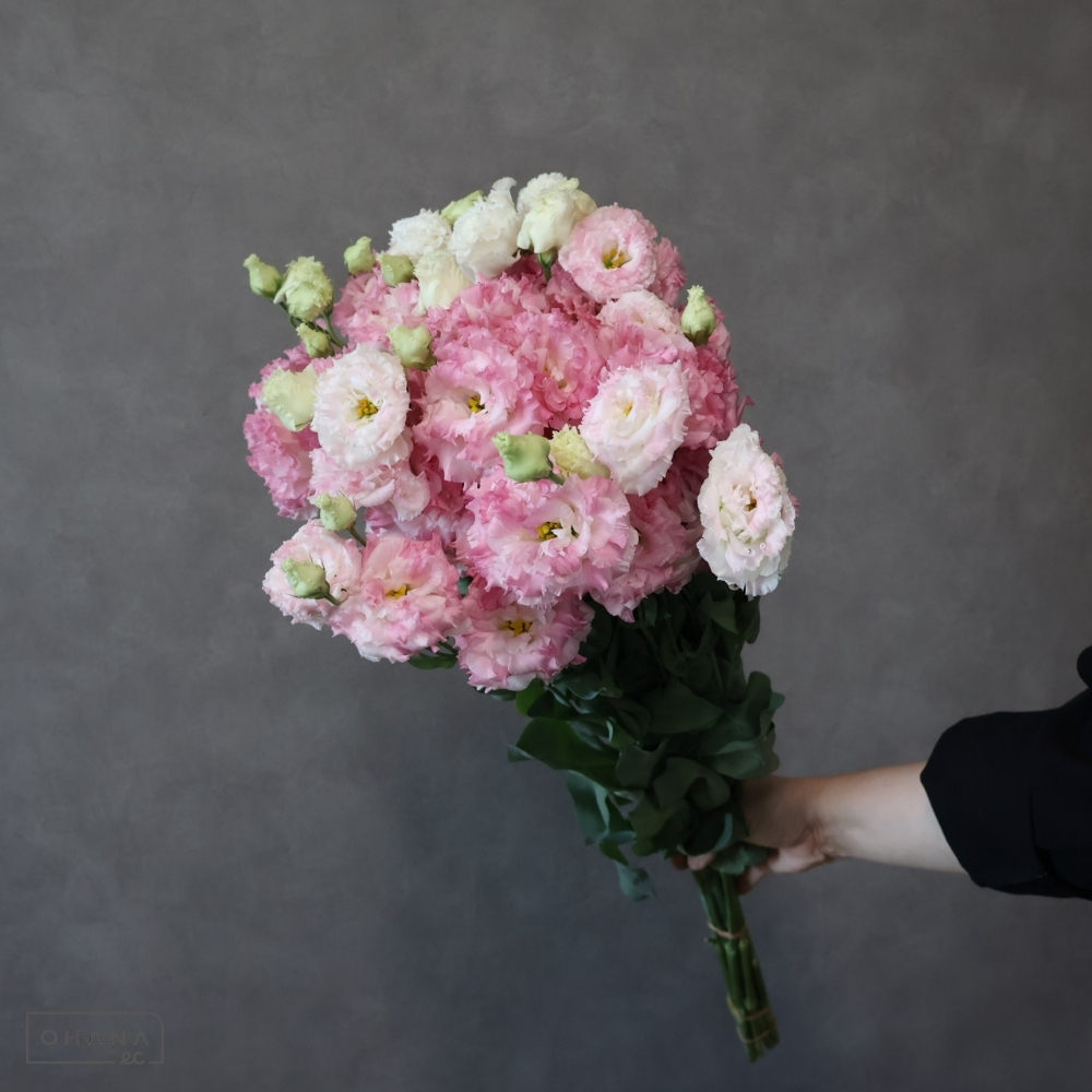 トルコキキョウ　ボヤージュピンクシェイク　 ３輪 70cm